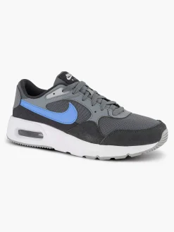 Sneakers|Nike Grijze Air Max
